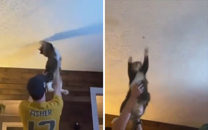 Socks Is A Weapon Against Bugs