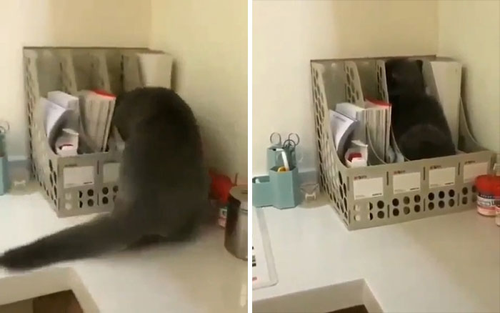 Organized Themselves