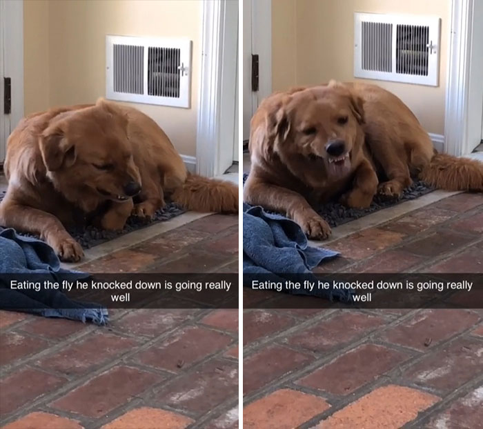 Sky Raisin Not As Tasty As Expected, Some Regrets