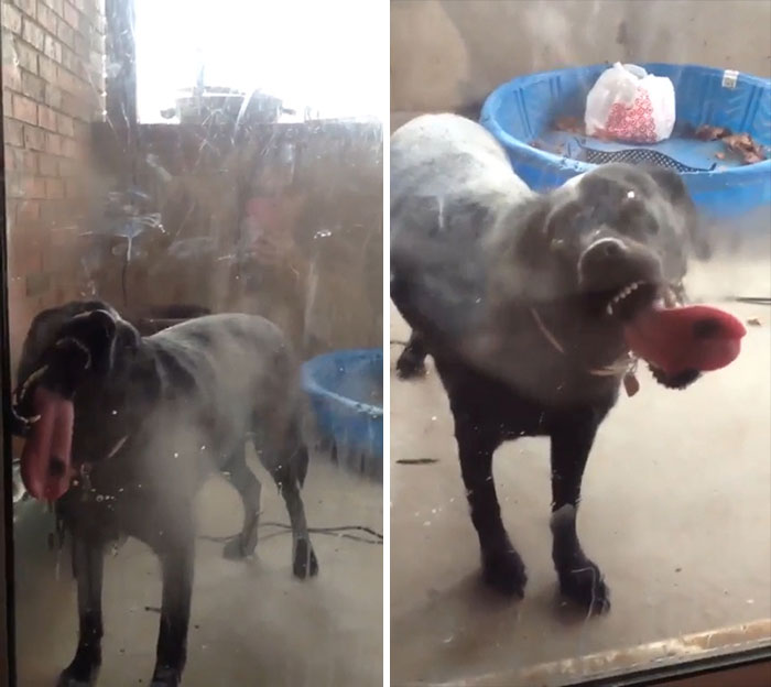 Releasing Some Steam