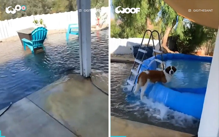 The Pool Wasn't Big Enough So I Made It Bigger