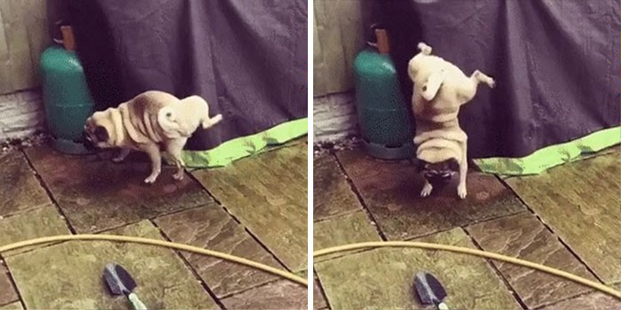 What’s Going On Here?