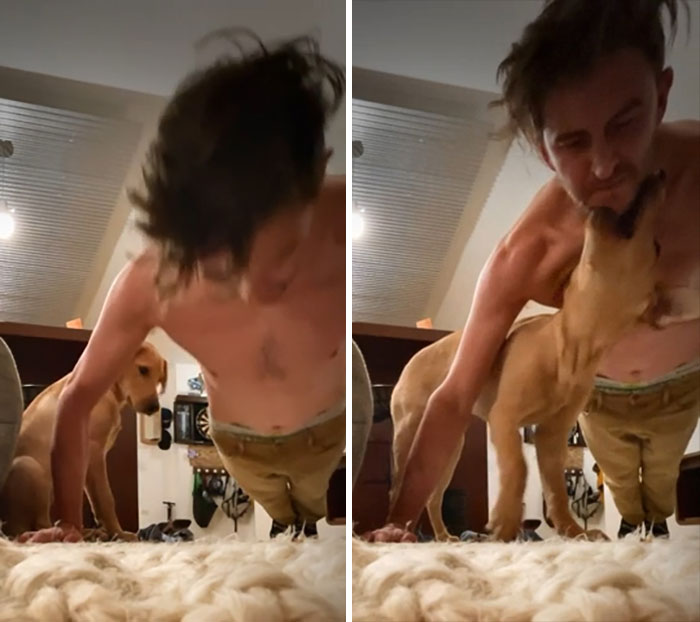 Some Say Pup-UPS Are The Most Difficult Of All The Up’s