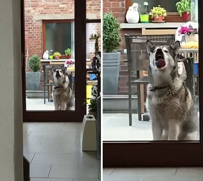 This Is The First Time I Ever See Her Do This And I Can’t Stop Laughing