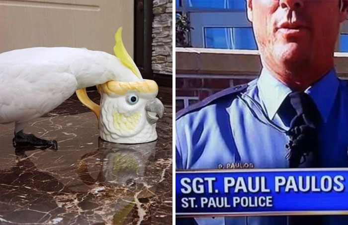 50 Times People Spotted Inception Happening In Real Life And Just Had To Document It