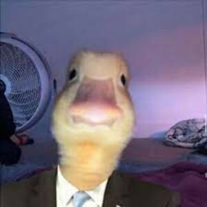 caleighmoffett avatar