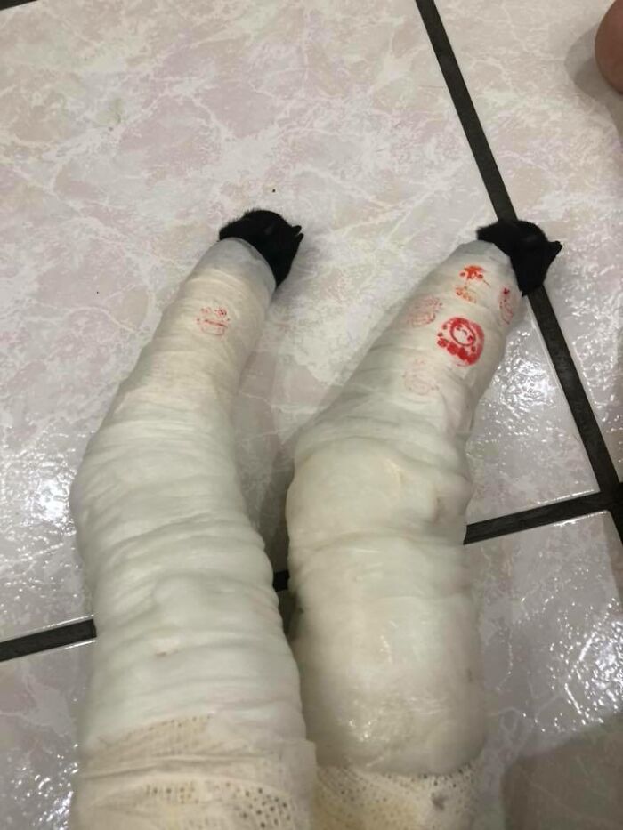 Woman Shows Her Selflessness When She Tries To Calm Her Dog During An Earthquake