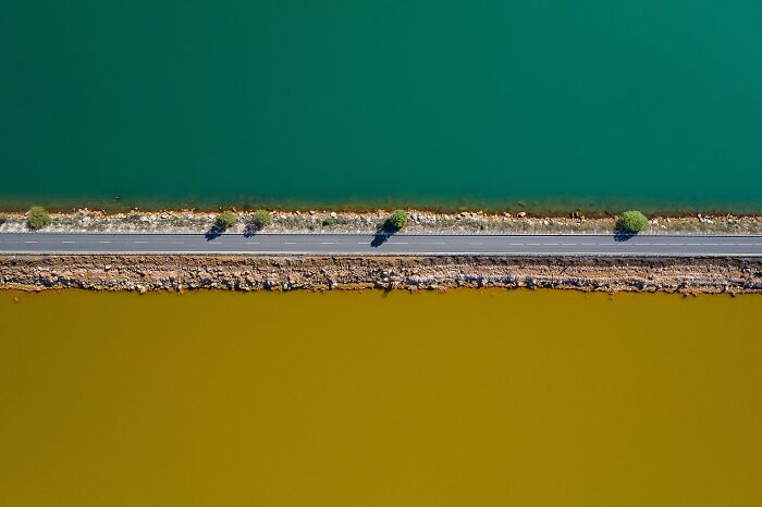 Aerial view of a road with trees dividing green and yellow water, showcasing environmental photography for Photographer of the Year.