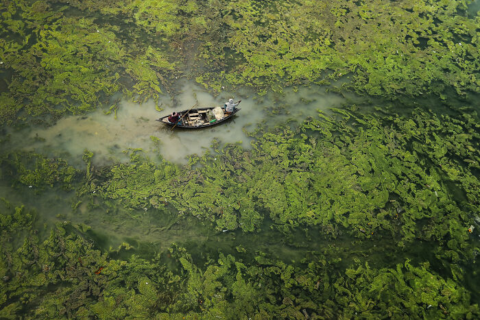 A boat with two people navigating through a green algae-covered waterway, environmental photographer of the year scene.