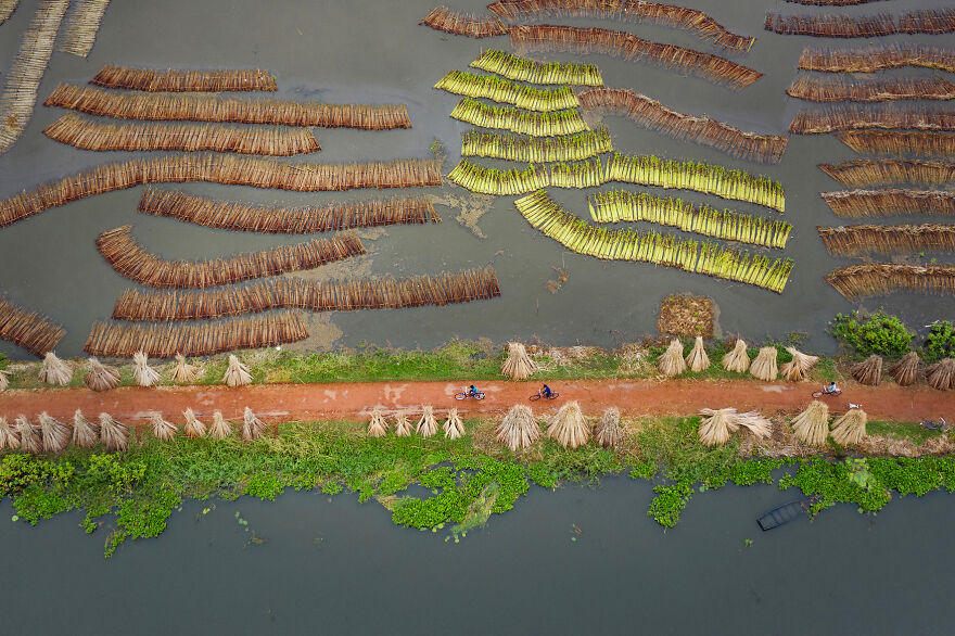 Journey For Sustainability, Sandipani Chattopadhyay, 2021