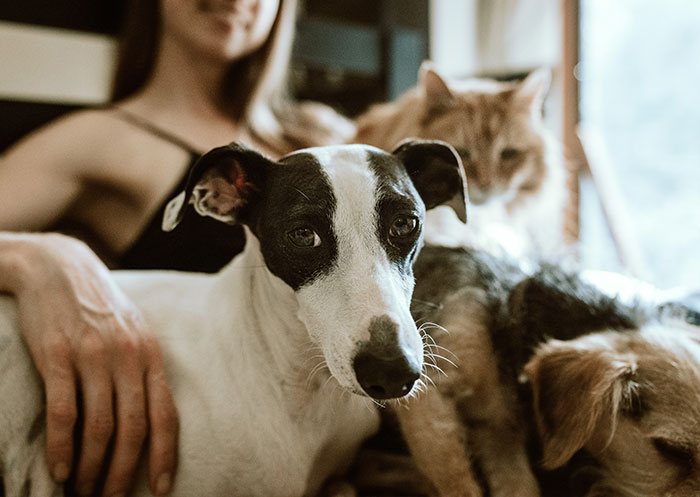 25 Peticiones tan tóxicas como ridículas que estas mujeres recibieron de sus exparejas