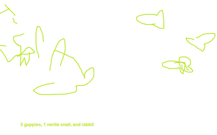 My Rabbit, 5 Guppies, And A Nerite Snail.