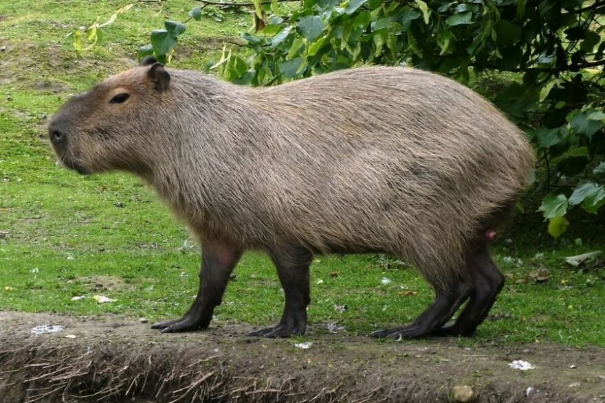 Here Are 40 Fun And Surprising Facts About Food And Restaurants