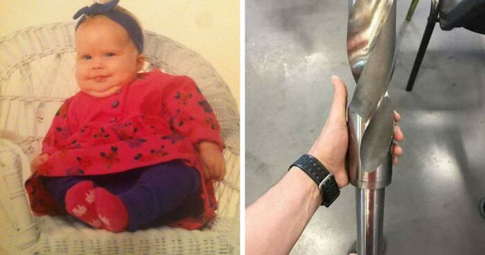 50 Times People Spotted ‘Absolute Units’ And Shared Them In This Online Community (New Pics)