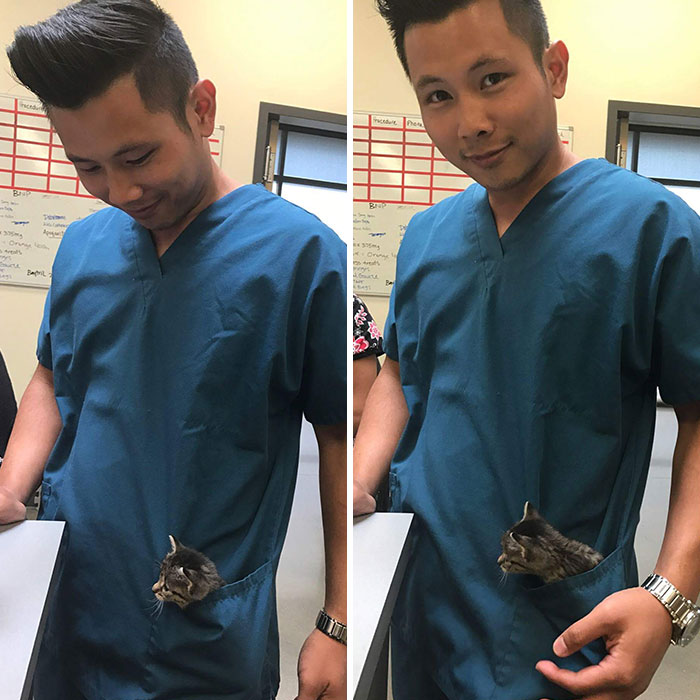 Our Vet Office Got A New Doctor. I'd Say The Kitties Are In Good Hands (And Pockets)