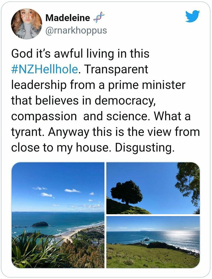 Funny-Comments-Commentawards