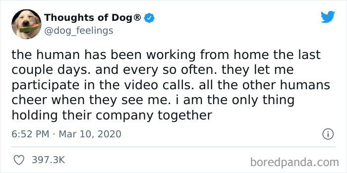 Funny-Comments-Commentawards