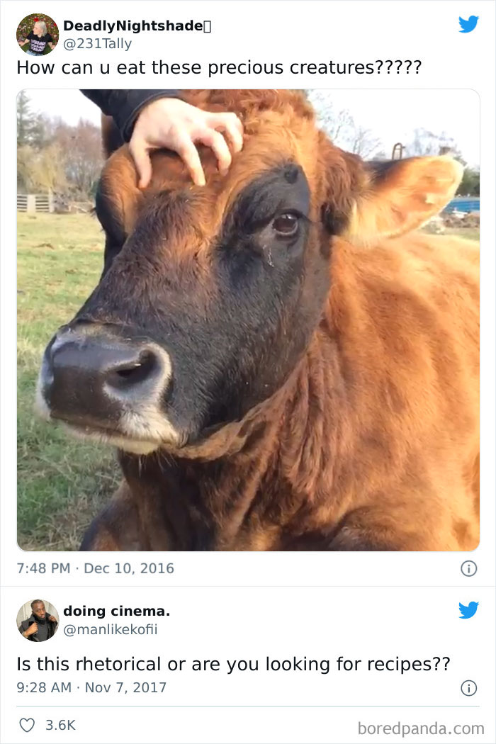 Funny-Comments-Commentawards