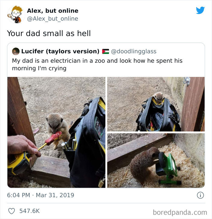 Funny-Comments-Commentawards