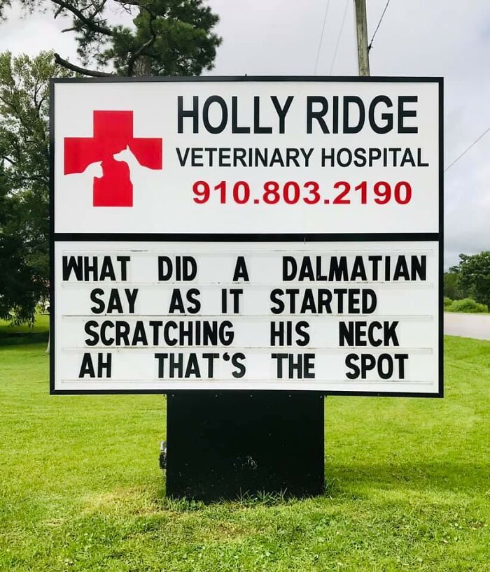 Funny-Outdoor-Signs-Holly-Ridge-Veterinary-Hospital
