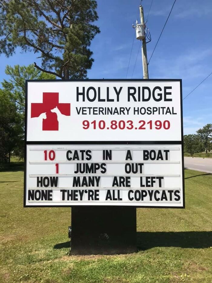 Funny-Outdoor-Signs-Holly-Ridge-Veterinary-Hospital