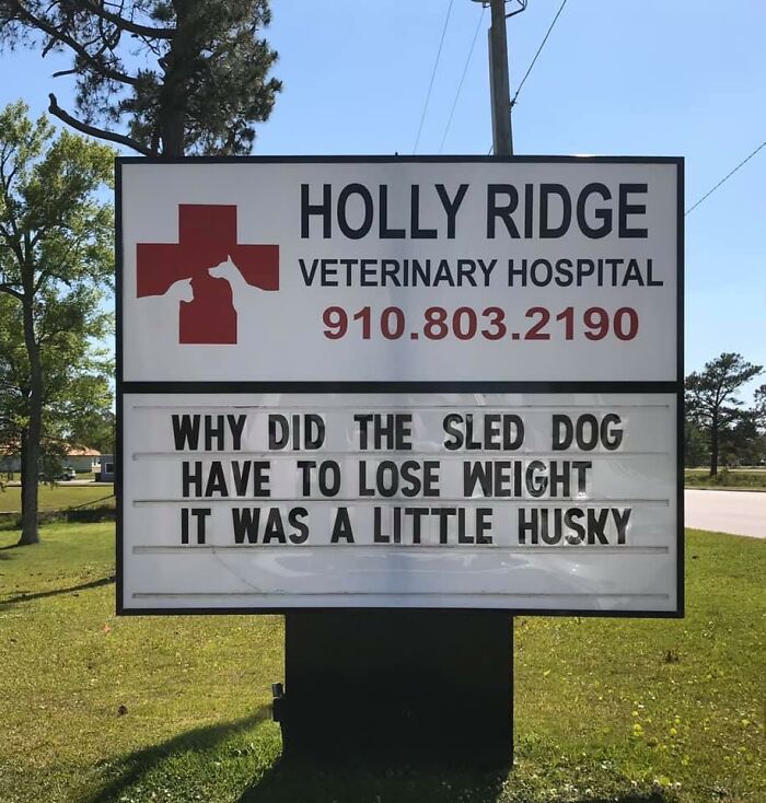 Funny-Outdoor-Signs-Holly-Ridge-Veterinary-Hospital