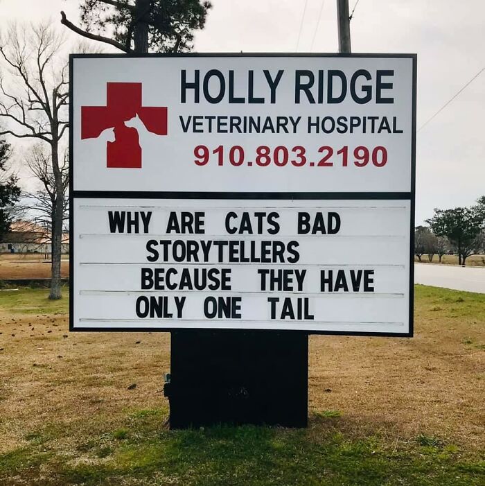 Funny-Outdoor-Signs-Holly-Ridge-Veterinary-Hospital
