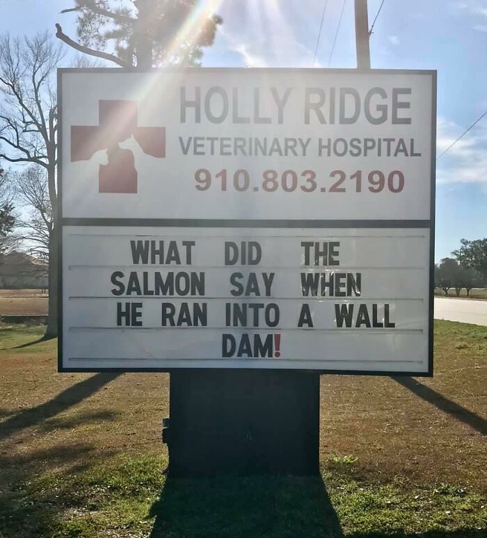 Funny-Outdoor-Signs-Holly-Ridge-Veterinary-Hospital