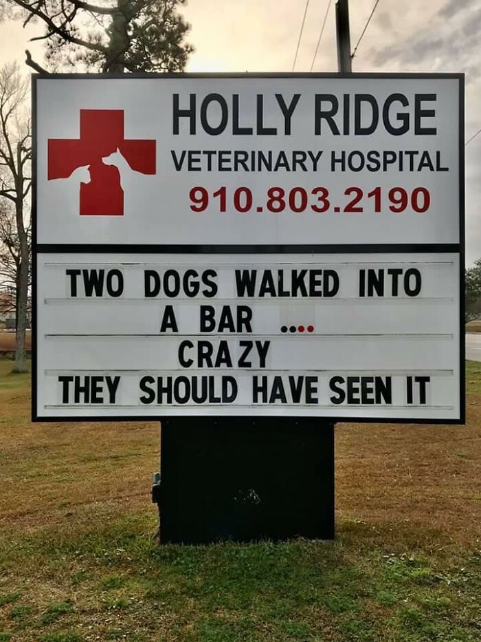Funny-Outdoor-Signs-Holly-Ridge-Veterinary-Hospital