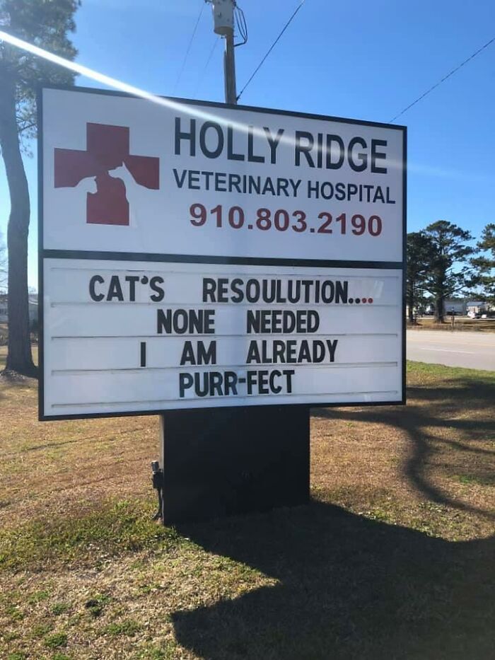 Funny-Outdoor-Signs-Holly-Ridge-Veterinary-Hospital