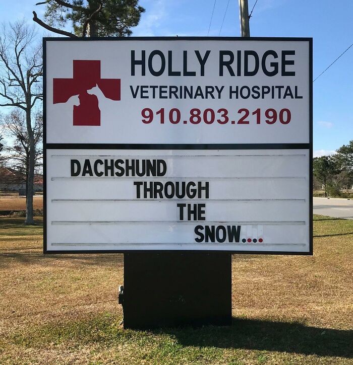 Funny-Outdoor-Signs-Holly-Ridge-Veterinary-Hospital