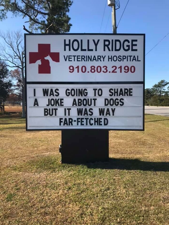 Funny-Outdoor-Signs-Holly-Ridge-Veterinary-Hospital