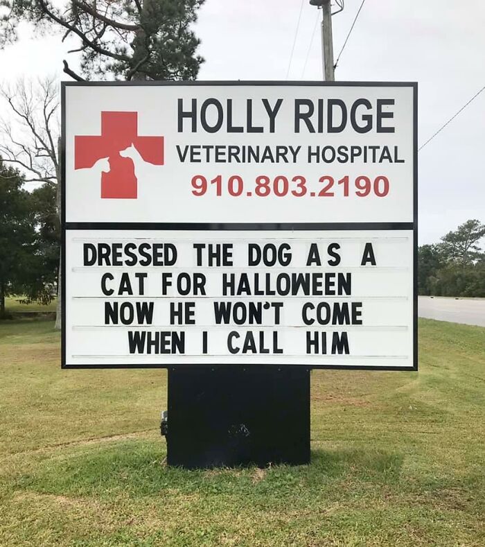 Funny-Outdoor-Signs-Holly-Ridge-Veterinary-Hospital