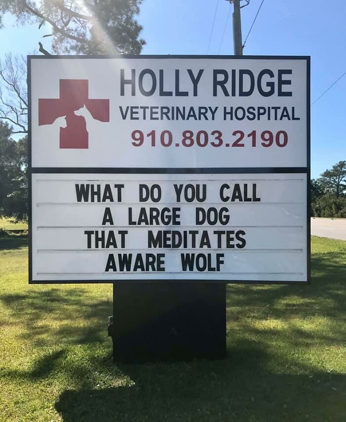 Funny-Outdoor-Signs-Holly-Ridge-Veterinary-Hospital