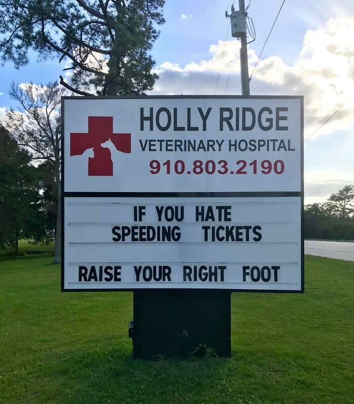 Funny-Outdoor-Signs-Holly-Ridge-Veterinary-Hospital