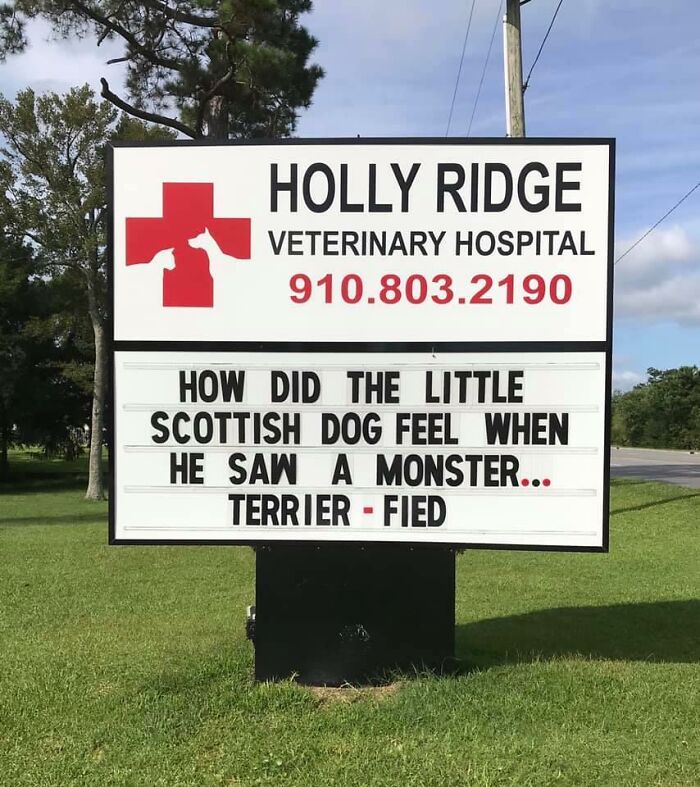 Funny-Outdoor-Signs-Holly-Ridge-Veterinary-Hospital