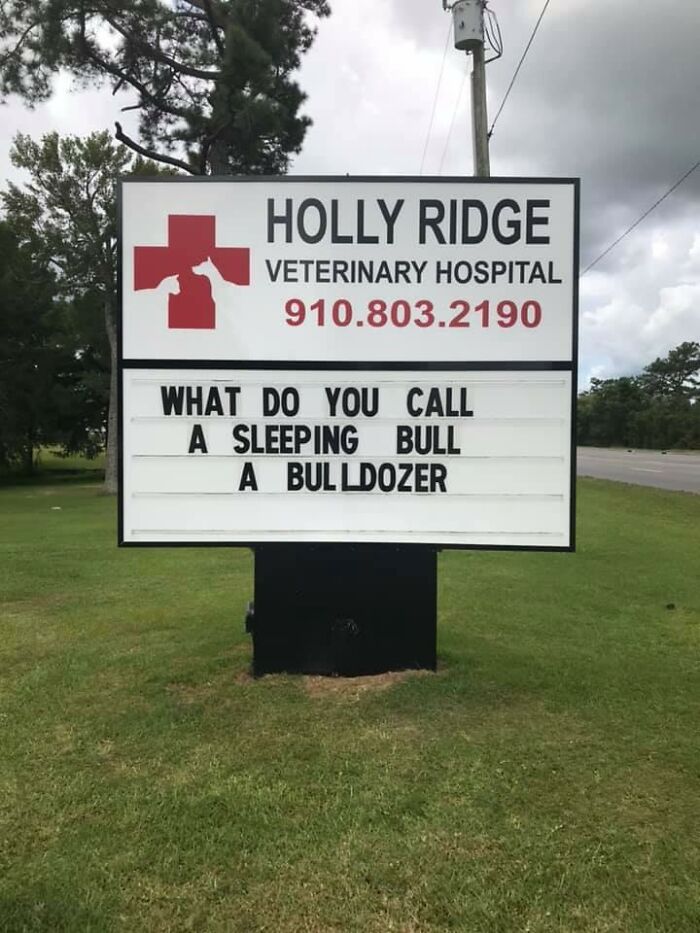 Funny-Outdoor-Signs-Holly-Ridge-Veterinary-Hospital