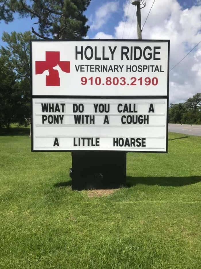 Funny-Outdoor-Signs-Holly-Ridge-Veterinary-Hospital