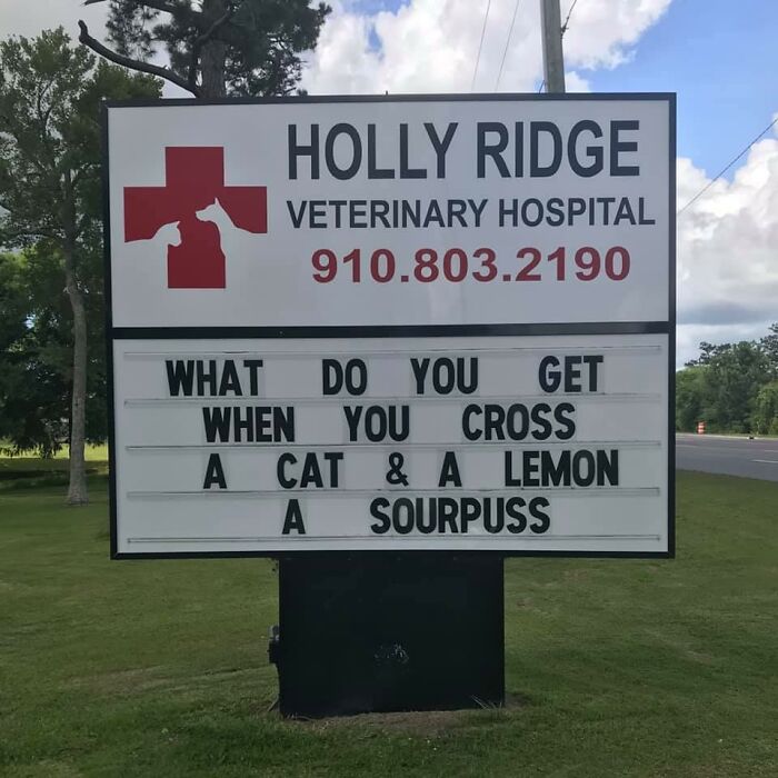 Funny-Outdoor-Signs-Holly-Ridge-Veterinary-Hospital