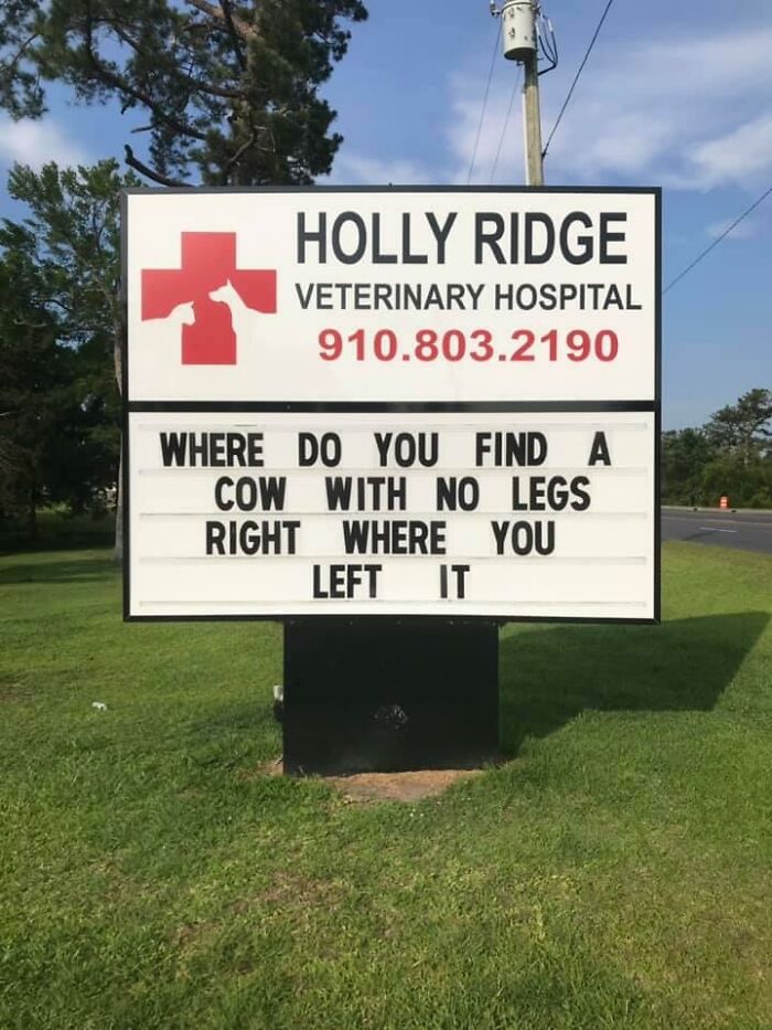 Funny-Outdoor-Signs-Holly-Ridge-Veterinary-Hospital