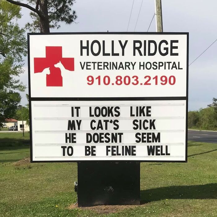 Funny-Outdoor-Signs-Holly-Ridge-Veterinary-Hospital
