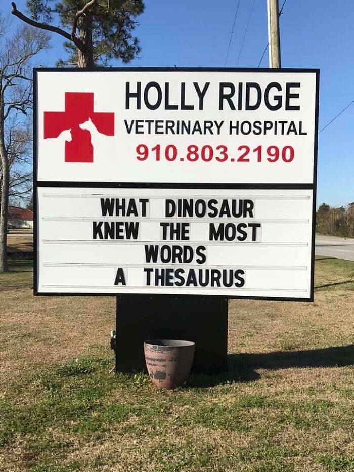 Funny-Outdoor-Signs-Holly-Ridge-Veterinary-Hospital