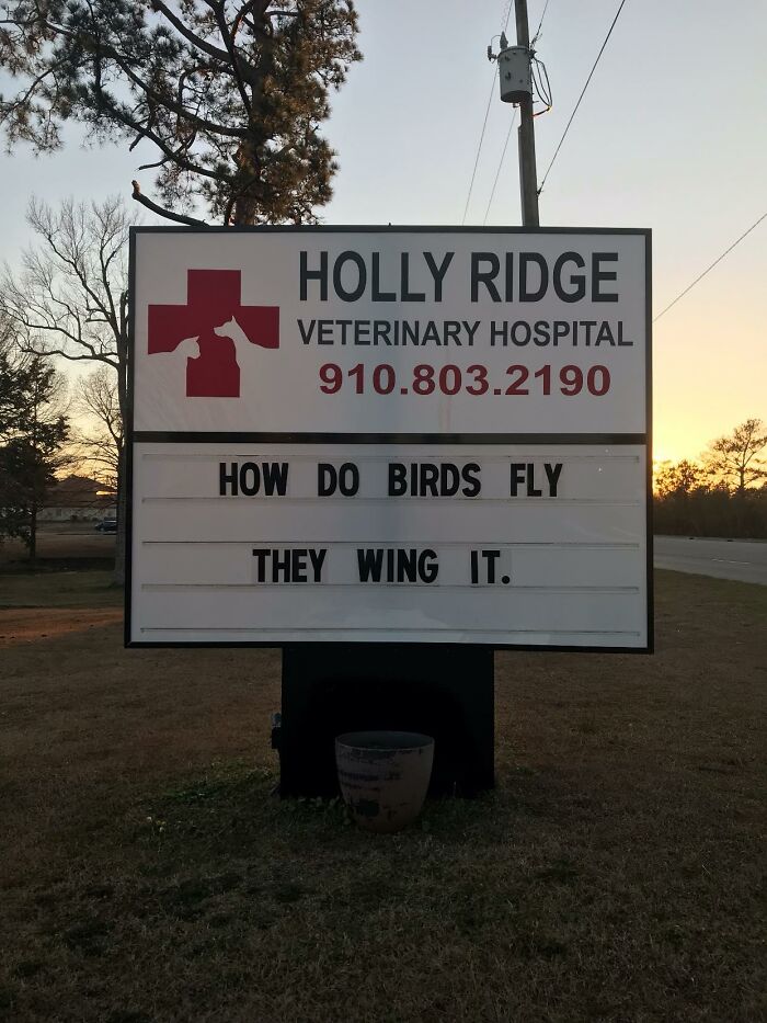 Funny-Outdoor-Signs-Holly-Ridge-Veterinary-Hospital