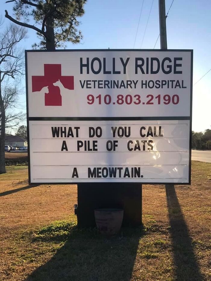 Funny-Outdoor-Signs-Holly-Ridge-Veterinary-Hospital