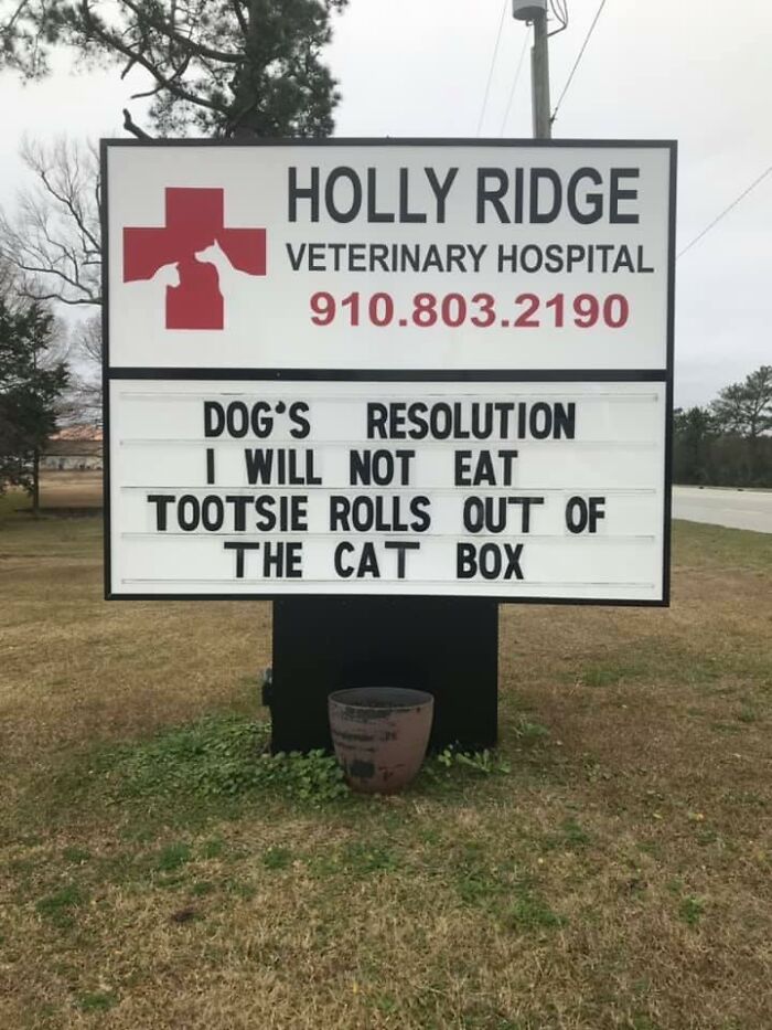 Funny-Outdoor-Signs-Holly-Ridge-Veterinary-Hospital
