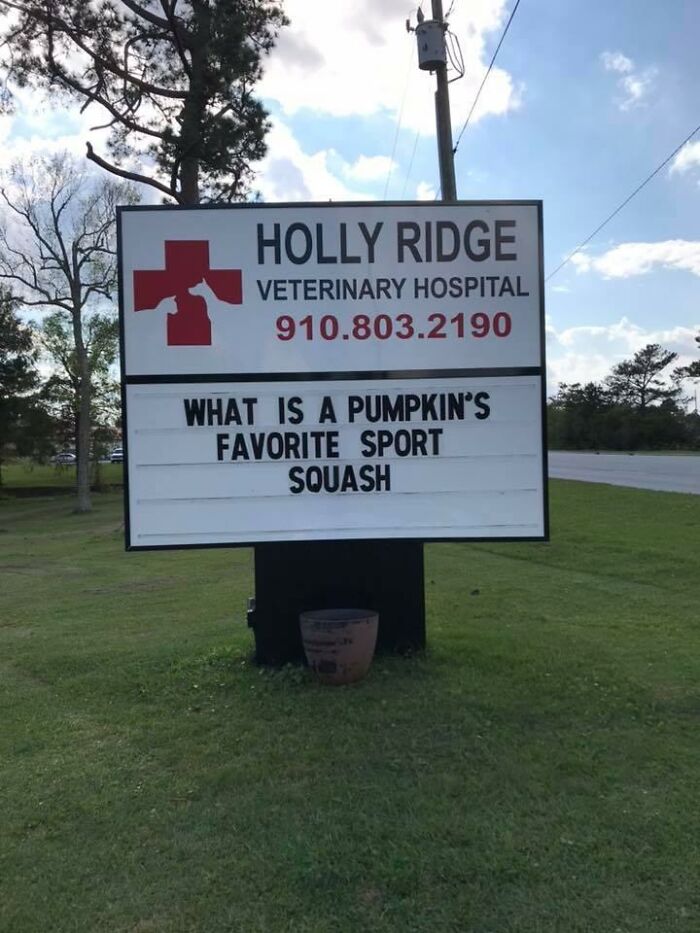 Funny-Outdoor-Signs-Holly-Ridge-Veterinary-Hospital