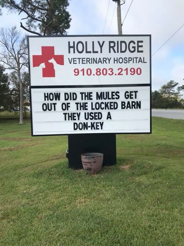 Funny-Outdoor-Signs-Holly-Ridge-Veterinary-Hospital