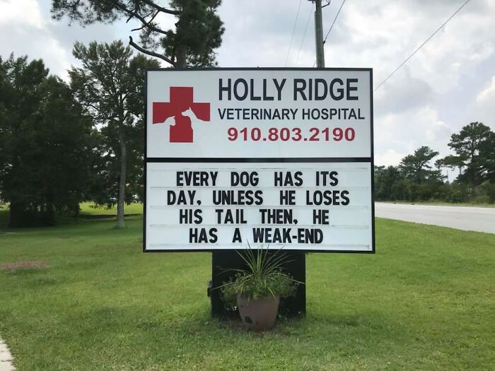 Funny-Outdoor-Signs-Holly-Ridge-Veterinary-Hospital