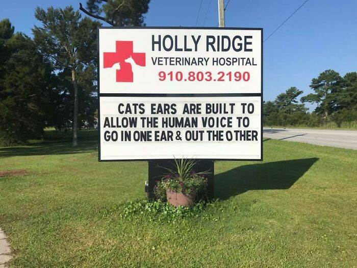Funny-Outdoor-Signs-Holly-Ridge-Veterinary-Hospital