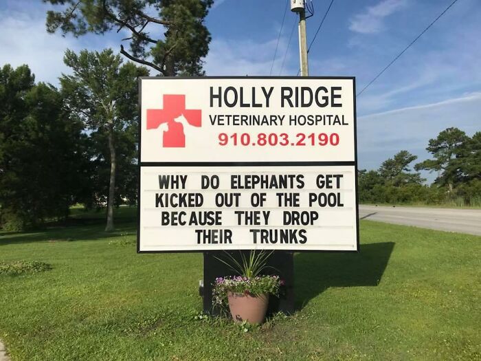 Funny-Outdoor-Signs-Holly-Ridge-Veterinary-Hospital